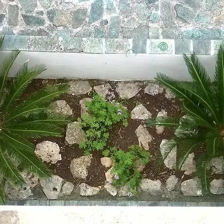 Da Zio Gino Apartament Poggiardo